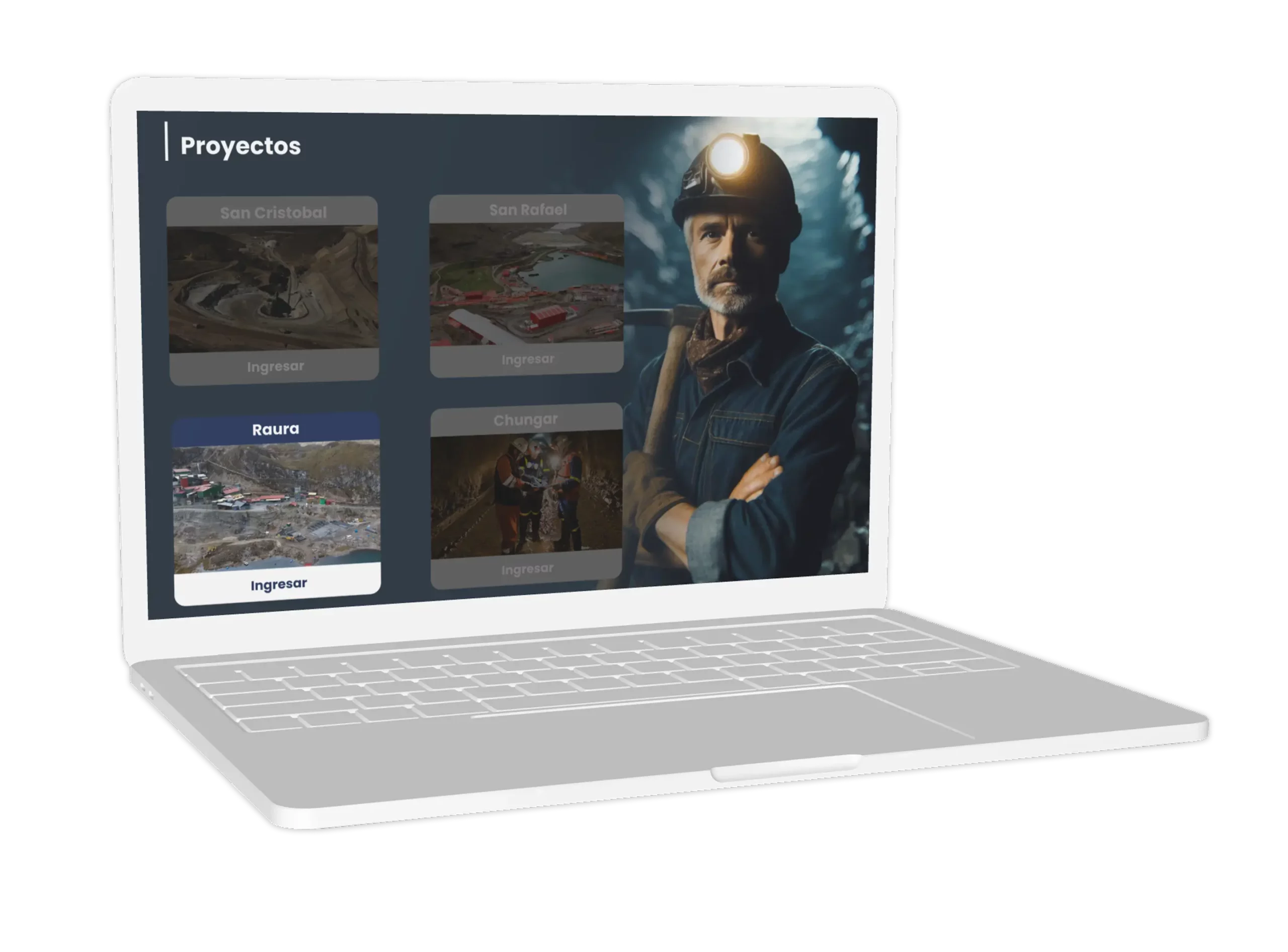 Mejora en la Organización y Visibilidad